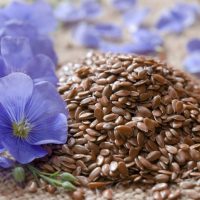 Лен семена 0,5 кг купить цены доставка в Беларуси
