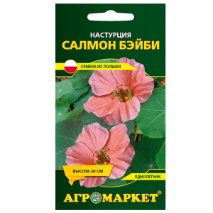 Настурция Салмон бэйби 8 шт купить цены доставка в Беларуси