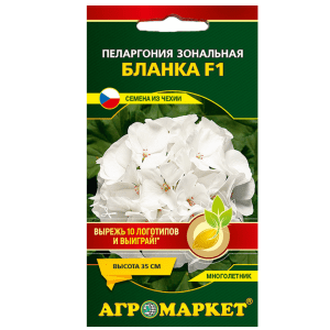 Пеларгония Бланка F1 (5 шт) купить цены доставка в Беларуси