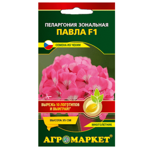Пеларгония Павла F1 (5 шт) купить цены доставка в Беларуси