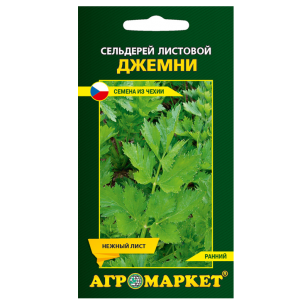 Сельдерей листовой Джемни 0,2 г семена купить Минск цены доставка
